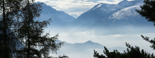 电话轰在线轰炸免费