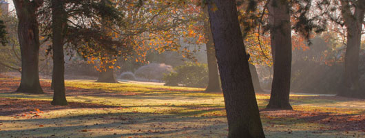 短信在线呼死你2023